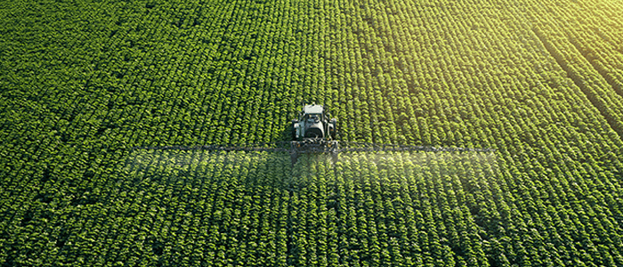 Tanner Banco Digital